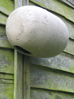 Gierzwaluw nestpot